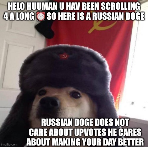 Russian Doge | HELO HUUMAN U HAV BEEN SCROLLING 4 A LONG ⏰ SO HERE IS A RUSSIAN DOGE; RUSSIAN DOGE DOES NOT CARE ABOUT UPVOTES HE CARES ABOUT MAKING YOUR DAY BETTER | image tagged in russian doge | made w/ Imgflip meme maker
