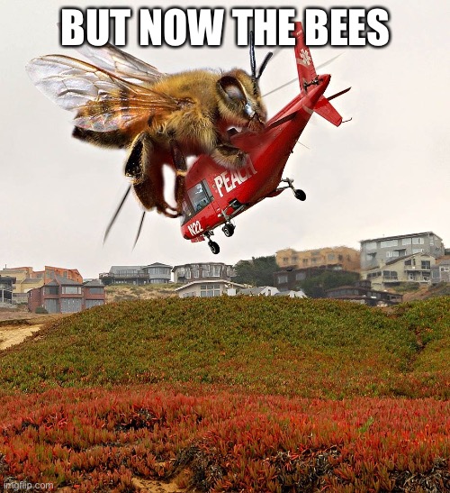 BUT NOW THE BEES | made w/ Imgflip meme maker