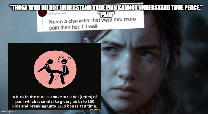 Name someone who has been through more pain | "THOSE WHO DO NOT UNDERSTAND TRUE PAIN CANNOT UNDERSTAND TRUE PEACE."
"PAIN" | image tagged in name someone who has been through more pain | made w/ Imgflip meme maker