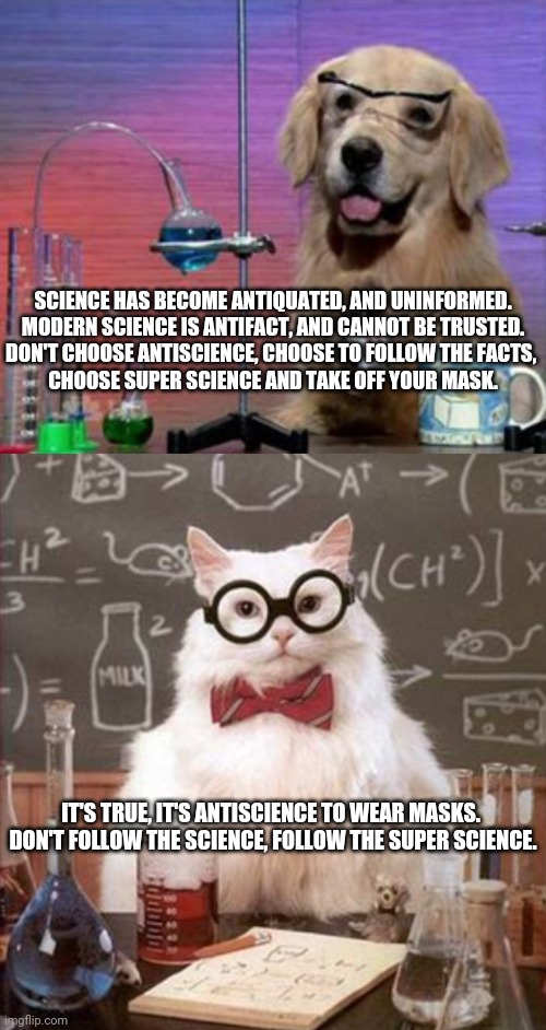 scientist dog meme