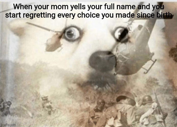 When your mom yells your full name | When your mom yells your full name and you start regretting every choice you made since birth | image tagged in ptsd dog,moms | made w/ Imgflip meme maker