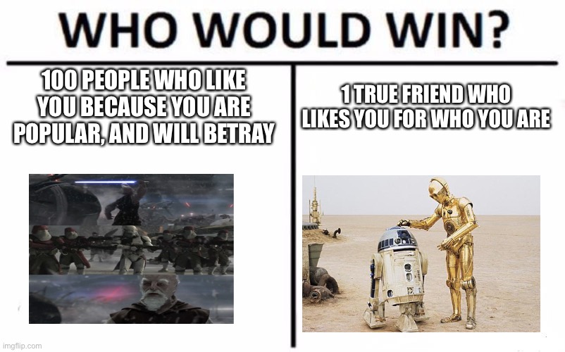 Wholesome meme. | 100 PEOPLE WHO LIKE YOU BECAUSE YOU ARE POPULAR, AND WILL BETRAY; 1 TRUE FRIEND WHO LIKES YOU FOR WHO YOU ARE | image tagged in memes,who would win | made w/ Imgflip meme maker