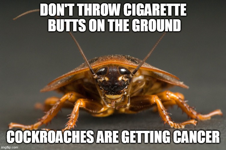 Cockroach Tuberculosis | DON'T THROW CIGARETTE  BUTTS ON THE GROUND; COCKROACHES ARE GETTING CANCER | image tagged in cockroach,cancer,cigarettes | made w/ Imgflip meme maker