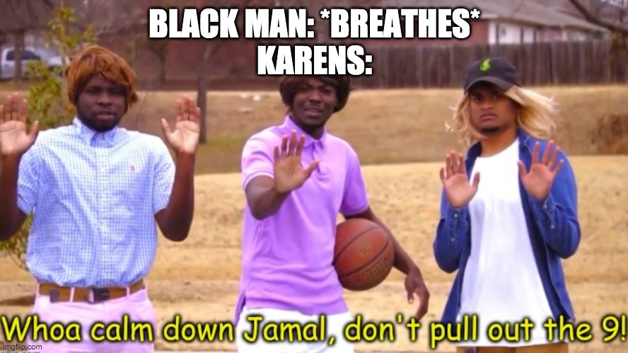 Karens be like: | BLACK MAN: *BREATHES*
KARENS: | image tagged in wow calm down jamal dont pull out the 9 | made w/ Imgflip meme maker