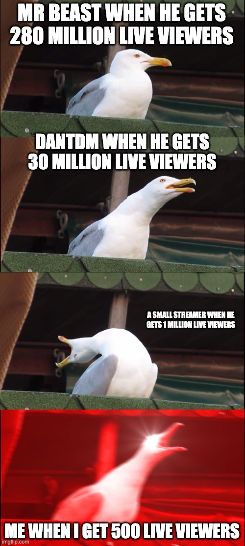 Inhaling Seagull Meme | MR BEAST WHEN HE GETS 280 MILLION LIVE VIEWERS; DANTDM WHEN HE GETS 30 MILLION LIVE VIEWERS; A SMALL STREAMER WHEN HE GETS 1 MILLION LIVE VIEWERS; ME WHEN I GET 500 LIVE VIEWERS | image tagged in memes,inhaling seagull,accurate | made w/ Imgflip meme maker