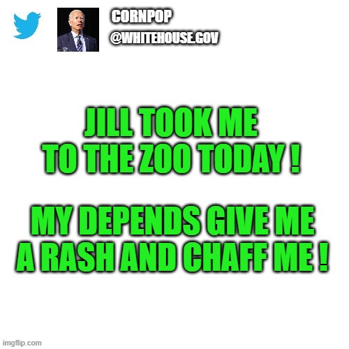 yep | JILL TOOK ME TO THE ZOO TODAY ! MY DEPENDS GIVE ME A RASH AND CHAFF ME ! | image tagged in joe biden,democrats,fascism | made w/ Imgflip meme maker