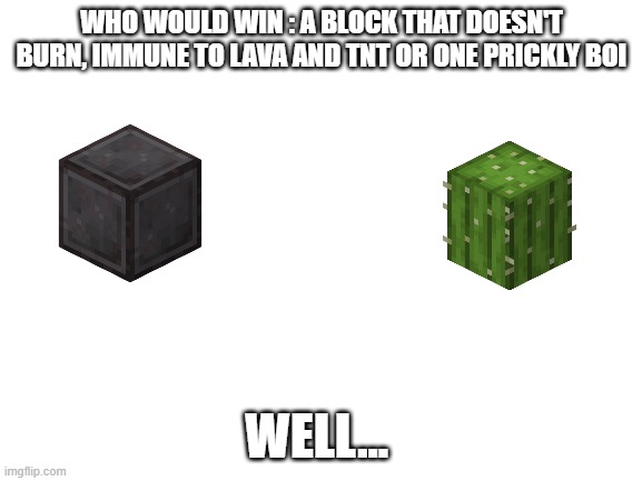 Blank White Template | WHO WOULD WIN : A BLOCK THAT DOESN'T BURN, IMMUNE TO LAVA AND TNT OR ONE PRICKLY BOI; WELL... | image tagged in blank white template | made w/ Imgflip meme maker