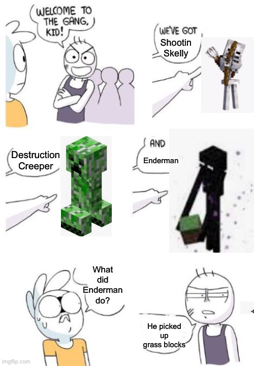 He picks up grass blocks | Shootin Skelly; Destruction Creeper; Enderman; What did Enderman do? He picked up grass blocks | image tagged in welcome to the gang kid,minecraft memes,minecraft,gaming memes,enderman,creeper | made w/ Imgflip meme maker