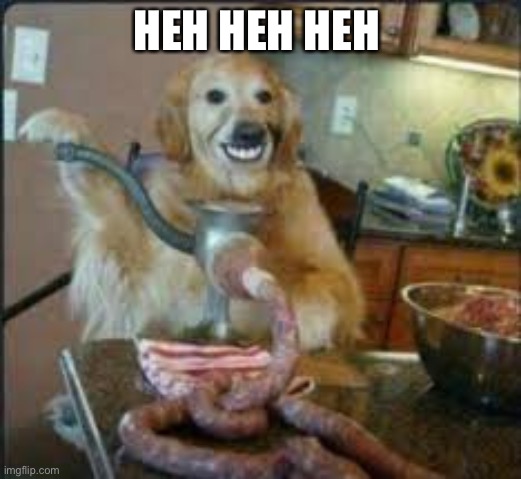 MEAT DOG | HEH HEH HEH | image tagged in meat dog | made w/ Imgflip meme maker