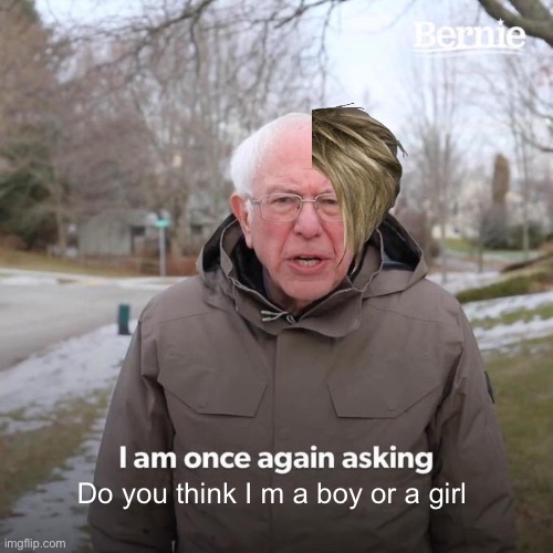 Bernie I Am Once Again Asking For Your Support | Do you think I m a boy or a girl | image tagged in memes,bernie i am once again asking for your support | made w/ Imgflip meme maker