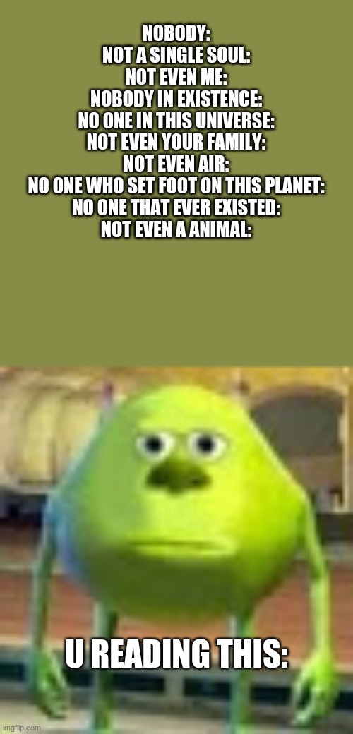 Sully Wazowski | NOBODY:
NOT A SINGLE SOUL:
NOT EVEN ME:
NOBODY IN EXISTENCE:
NO ONE IN THIS UNIVERSE:
NOT EVEN YOUR FAMILY:
NOT EVEN AIR:
NO ONE WHO SET FOOT ON THIS PLANET:
NO ONE THAT EVER EXISTED:
NOT EVEN A ANIMAL:; U READING THIS: | image tagged in sully wazowski | made w/ Imgflip meme maker