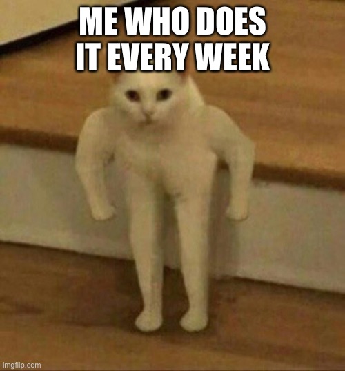 strong cat | ME WHO DOES IT EVERY WEEK | image tagged in strong cat | made w/ Imgflip meme maker