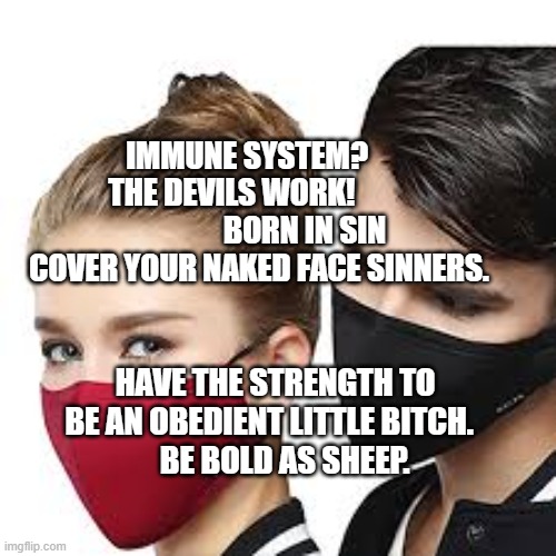 Mask Couple | IMMUNE SYSTEM?       THE DEVILS WORK!                         BORN IN SIN COVER YOUR NAKED FACE SINNERS. HAVE THE STRENGTH TO BE AN OBEDIENT LITTLE BITCH.      BE BOLD AS SHEEP. | image tagged in mask couple | made w/ Imgflip meme maker
