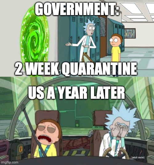quarantine | GOVERNMENT:; 2 WEEK QUARANTINE; US A YEAR LATER | image tagged in 20 minute adventure rick morty | made w/ Imgflip meme maker