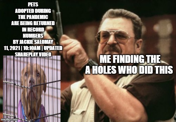 sombodys gunna die | PETS ADOPTED DURING THE PANDEMIC ARE BEING RETURNED IN RECORD NUMBERS
BY JACKIE SALOMAY 11, 2021 | 10:10AM | UPDATED

SHAREPLAY VIDEO; ME FINDING THE A HOLES WHO DID THIS | image tagged in memes,am i the only one around here | made w/ Imgflip meme maker