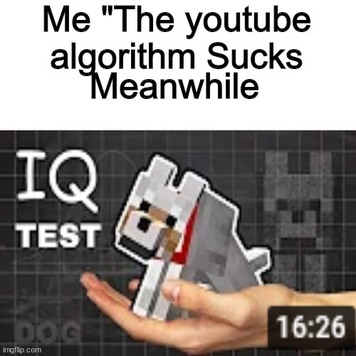 Succ | Me "The youtube algorithm Sucks; Meanwhile | image tagged in youtube | made w/ Imgflip meme maker