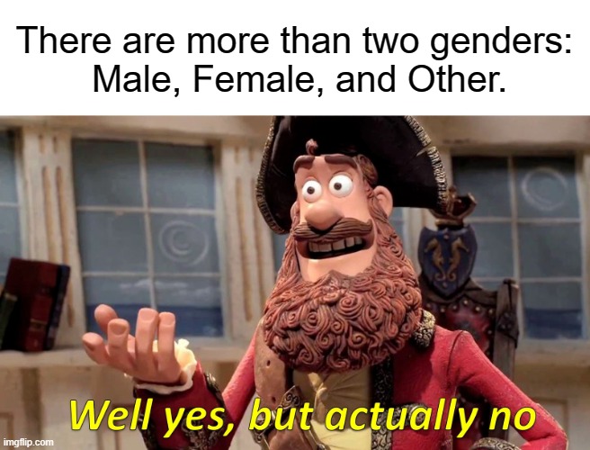 Some people ALMOST get it... | There are more than two genders:
 Male, Female, and Other. | image tagged in well yes but actually no | made w/ Imgflip meme maker