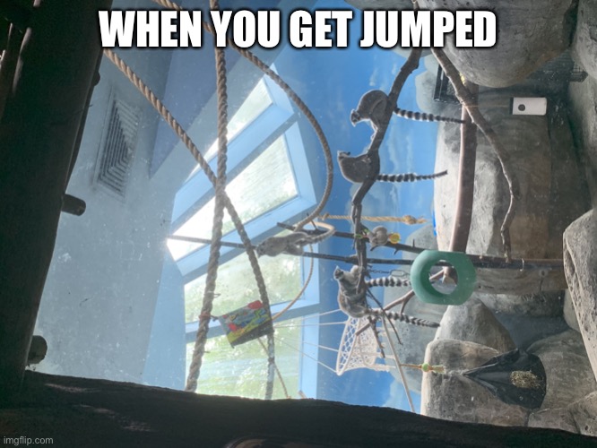 When you get jumped | WHEN YOU GET JUMPED | image tagged in me and the boys going to gang up on someone | made w/ Imgflip meme maker
