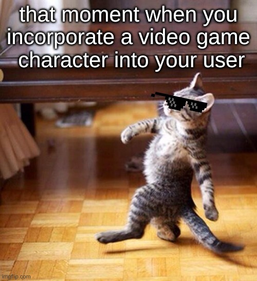 E | that moment when you incorporate a video game  character into your user | image tagged in swag cat | made w/ Imgflip meme maker