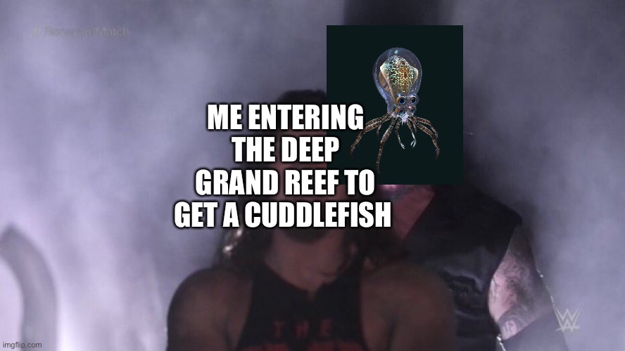 My first time entering the deep grand reef | ME ENTERING THE DEEP GRAND REEF TO GET A CUDDLEFISH | image tagged in aj styles undertaker | made w/ Imgflip meme maker
