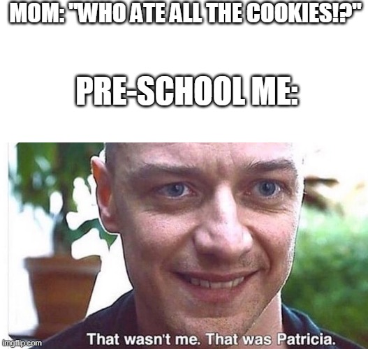 MOM: "WHO ATE ALL THE COOKIES!?"; PRE-SCHOOL ME: | image tagged in it wasn't me meme | made w/ Imgflip meme maker