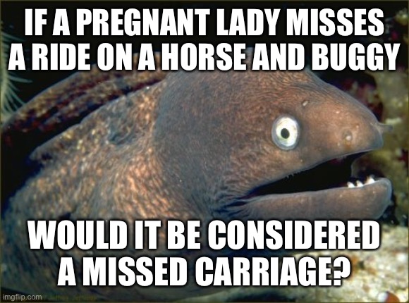 Just shoot me | IF A PREGNANT LADY MISSES A RIDE ON A HORSE AND BUGGY; WOULD IT BE CONSIDERED A MISSED CARRIAGE? | image tagged in bad,funny,dark,wordplay,bad joke eel,wow | made w/ Imgflip meme maker