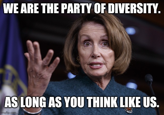 Good old Nancy Pelosi | WE ARE THE PARTY OF DIVERSITY. AS LONG AS YOU THINK LIKE US. | image tagged in good old nancy pelosi | made w/ Imgflip meme maker