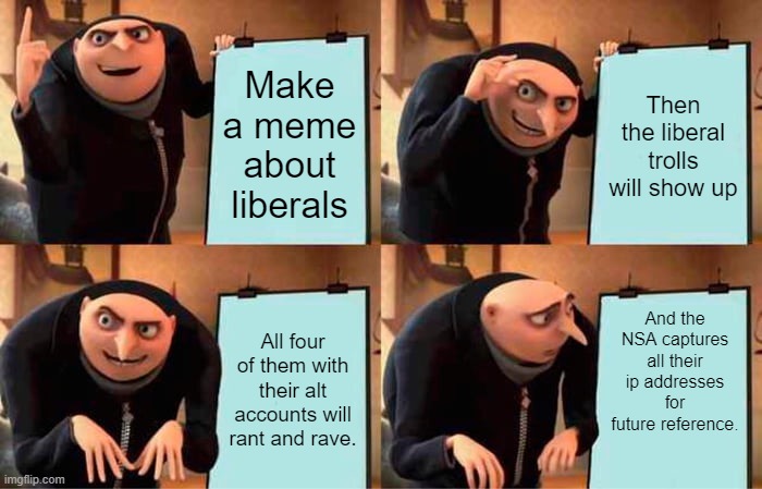 Gru's Plan | Make a meme about liberals; Then the liberal trolls will show up; And the NSA captures all their ip addresses for future reference. All four of them with their alt accounts will rant and rave. | image tagged in memes,gru's plan | made w/ Imgflip meme maker