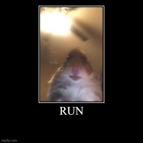 image tagged in funny,demotivationals | made w/ Imgflip demotivational maker