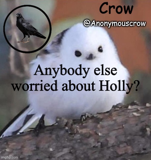Anonymouscrow announce | Anybody else worried about Holly? | image tagged in anonymouscrow announce | made w/ Imgflip meme maker