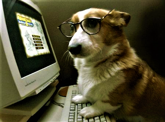 dog at computer Blank Template - Imgflip