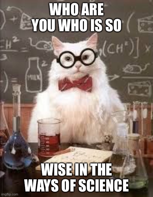 SMART CAT | WHO ARE YOU WHO IS SO WISE IN THE WAYS OF SCIENCE | image tagged in smart cat | made w/ Imgflip meme maker