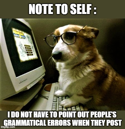 dog at computer | NOTE TO SELF :; I DO NOT HAVE TO POINT OUT PEOPLE'S 
GRAMMATICAL ERRORS WHEN THEY POST | image tagged in funny dog memes,computer dog,dog memes,note,computers,self | made w/ Imgflip meme maker