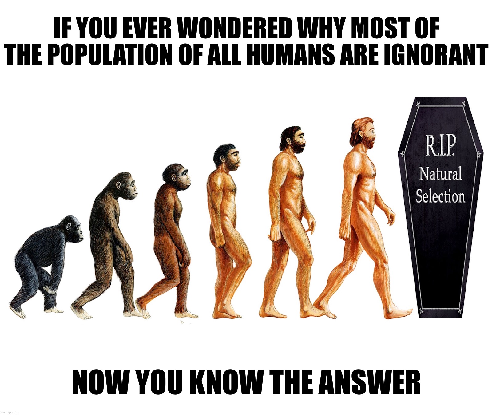 Rest In Peace, Homo Sapiens | IF YOU EVER WONDERED WHY MOST OF THE POPULATION OF ALL HUMANS ARE IGNORANT; NOW YOU KNOW THE ANSWER | image tagged in natural selection,rest in peace,evolution,humanity,ignorance,sad but true | made w/ Imgflip meme maker