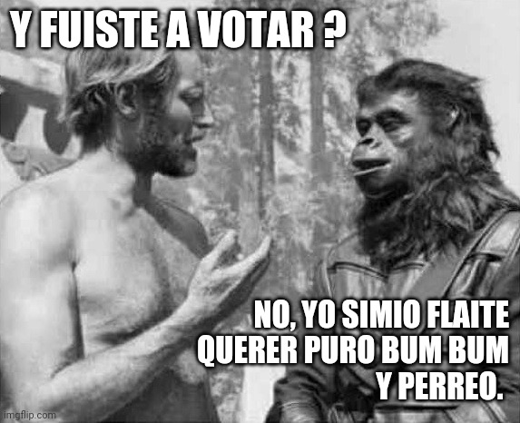 Planeta de los simios | Y FUISTE A VOTAR ? NO, YO SIMIO FLAITE
QUERER PURO BUM BUM
Y PERREO. | image tagged in planeta de los simios | made w/ Imgflip meme maker