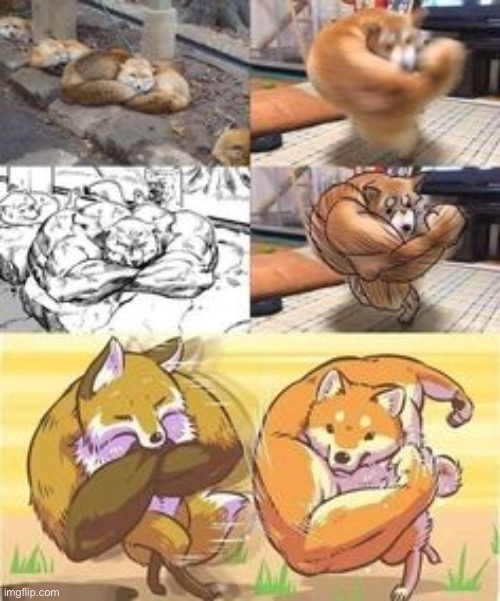Cool thing I found on the internet UwU (who ever made this needs a Nobel prize) | image tagged in yes,furry,foxes,fighting,creativity | made w/ Imgflip meme maker