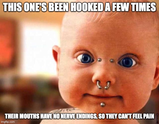 Punk Baby | THIS ONE'S BEEN HOOKED A FEW TIMES; THEIR MOUTHS HAVE NO NERVE ENDINGS, SO THEY CAN'T FEEL PAIN | image tagged in fishing,baby,memes,funny | made w/ Imgflip meme maker