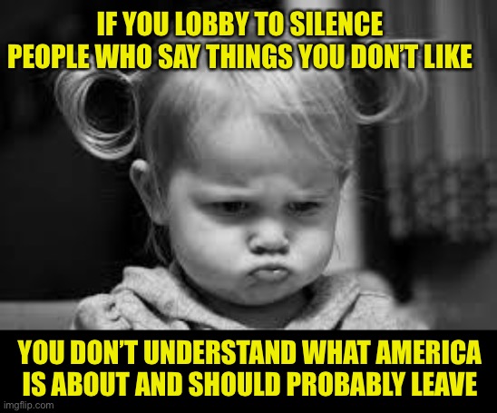 America is about Freedom | IF YOU LOBBY TO SILENCE PEOPLE WHO SAY THINGS YOU DON’T LIKE; YOU DON’T UNDERSTAND WHAT AMERICA IS ABOUT AND SHOULD PROBABLY LEAVE | image tagged in pouting toddler,freedom of speech,freedom,religious freedom,clueless | made w/ Imgflip meme maker