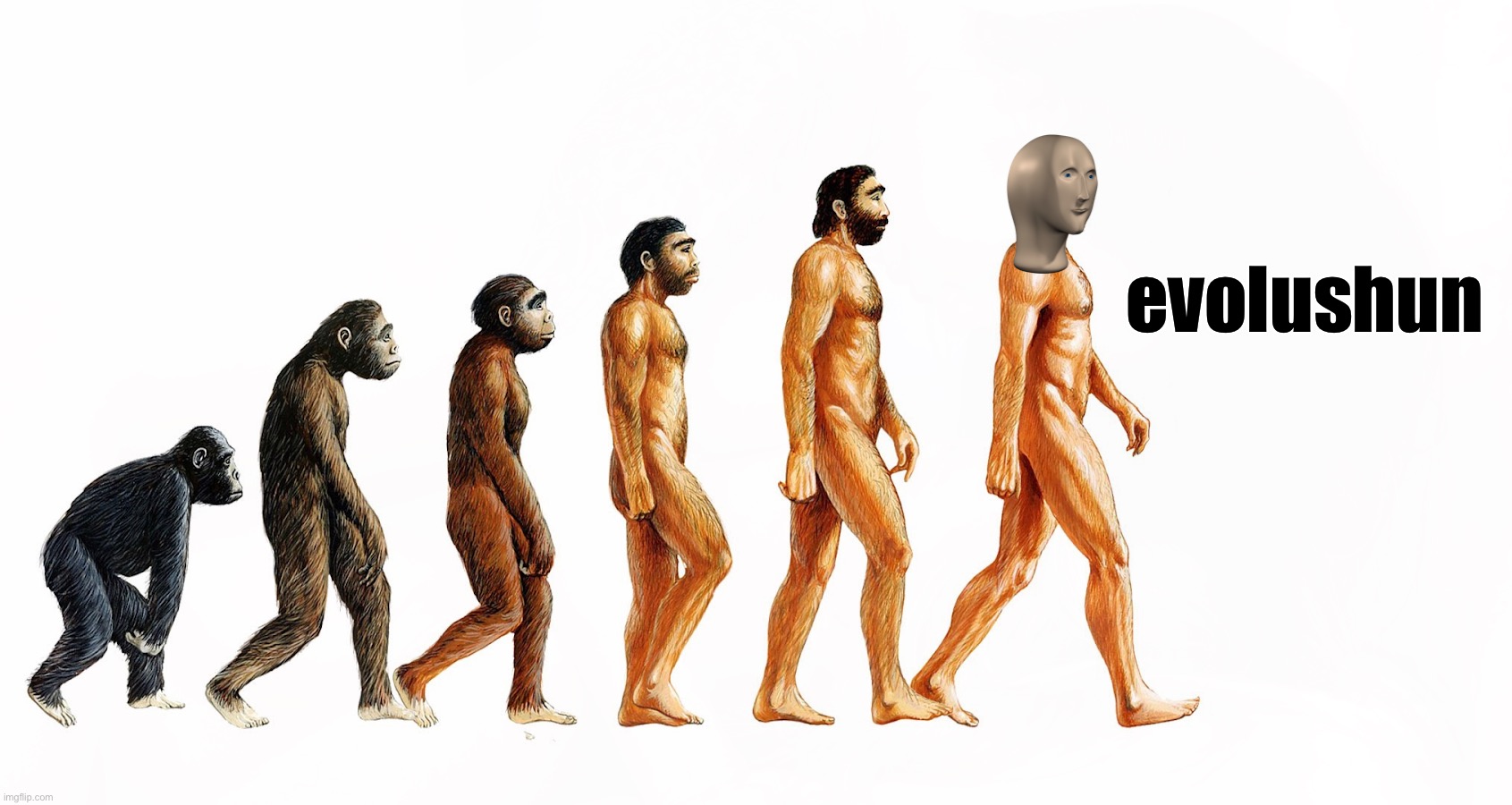 homo saypienz |  evolushun | image tagged in evolution,meme man,funny,memes,you know i'm something of a scientist myself,evolushun | made w/ Imgflip meme maker