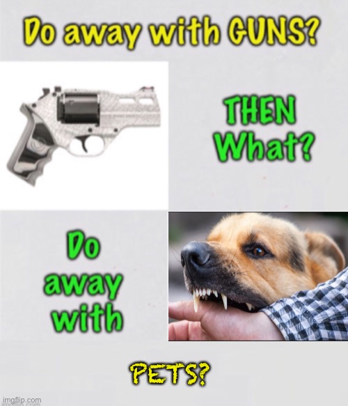 First, GUNS.  Then what? | PETS? | image tagged in memes,2a,gun control is dominant control over the people,second amendment,always the dems want to hold people down | made w/ Imgflip meme maker