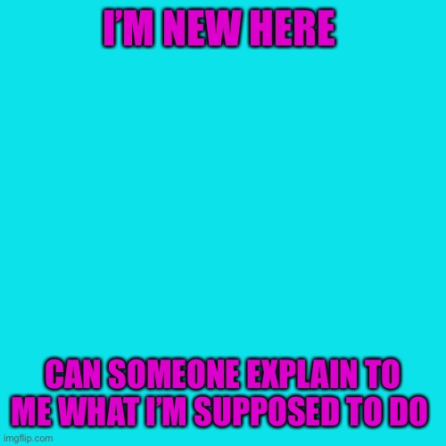 Hi I’m new here | I’M NEW HERE; CAN SOMEONE EXPLAIN TO ME WHAT I’M SUPPOSED TO DO | image tagged in memes | made w/ Imgflip meme maker