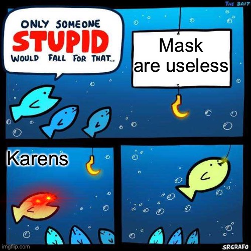 Karens are stupid | Mask are useless; Karens | image tagged in only someone stupid would fall for that | made w/ Imgflip meme maker