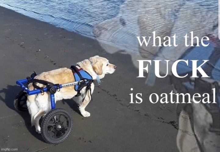 politics | image tagged in trump,joe biden,politics,election | made w/ Imgflip meme maker