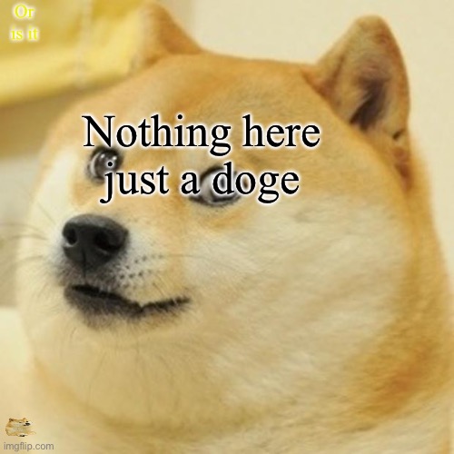 Doge | Or is it; Nothing here just a doge | image tagged in memes,doge | made w/ Imgflip meme maker