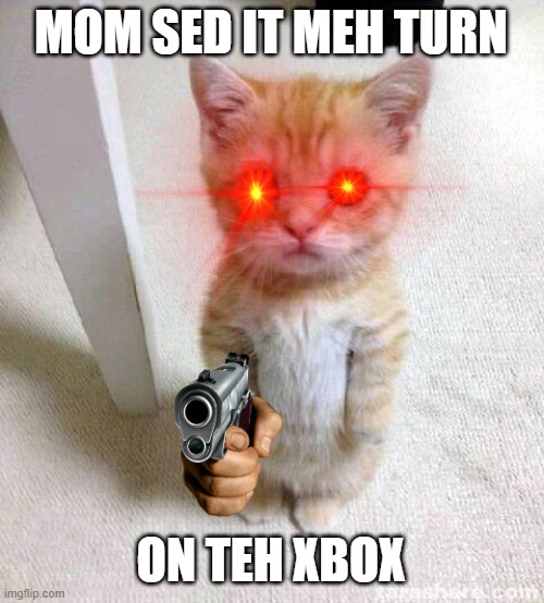 Cute Cat | MOM SED IT MEH TURN; ON TEH XBOX | image tagged in memes,cute cat | made w/ Imgflip meme maker