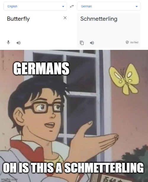 German Language is Strange | GERMANS; OH IS THIS A SCHMETTERLING | image tagged in memes,is this a pigeon | made w/ Imgflip meme maker