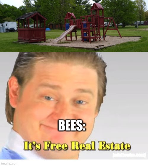 BEES: | image tagged in it's free real estate | made w/ Imgflip meme maker