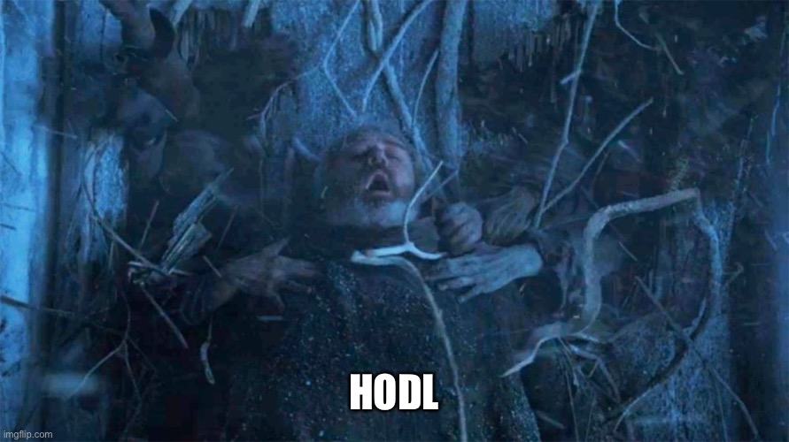 Hold Door Hodor | HODL | image tagged in hold door hodor,SHIBArmy | made w/ Imgflip meme maker