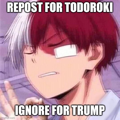 Todoroki | REPOST FOR TODOROKI; IGNORE FOR TRUMP | image tagged in todoroki | made w/ Imgflip meme maker