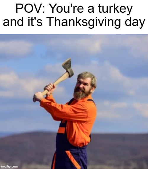POV: You're a turkey and it's Thanksgiving day | image tagged in thanksgiving,happy thanksgiving,thanksgiving dinner,turkeys,turkey day,memes | made w/ Imgflip meme maker